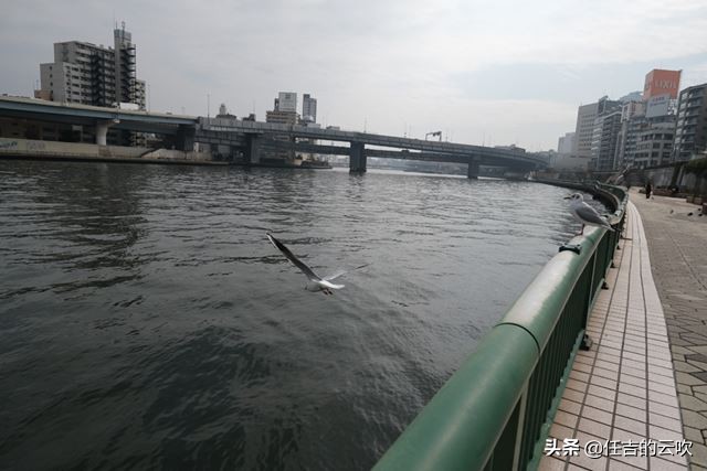 富士相机最经典的复古色彩配方,富士相机潮了