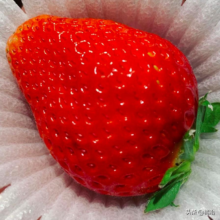 大阪黑门市场美食攻略,再逛大阪黑门市场