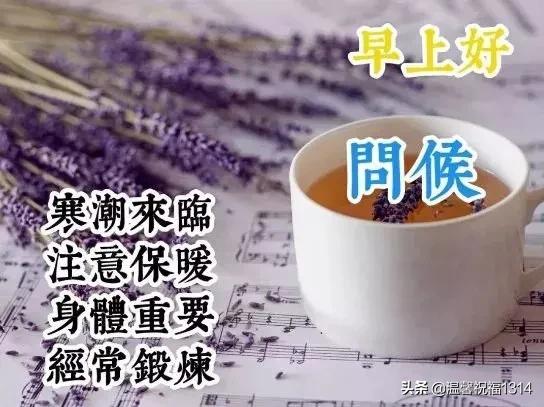 周一最新最接地气的早晨祝福语,周一清晨问候祝福语大全