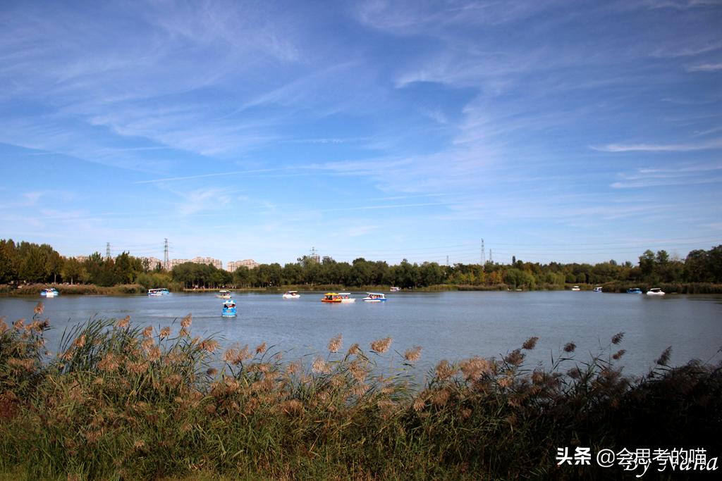 大兴南海子公园还开放吗,南海子公园现在开门了吗