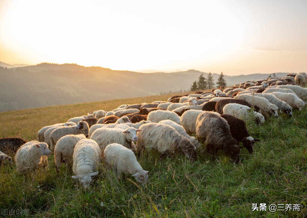 《敕勒歌》古诗背诵,小学生必背古诗词75首敕勒歌译文