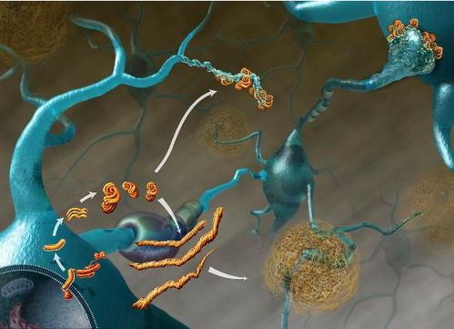 你知道人为什么要吃东西吗,你知道为啥人不能吃得太饱吗