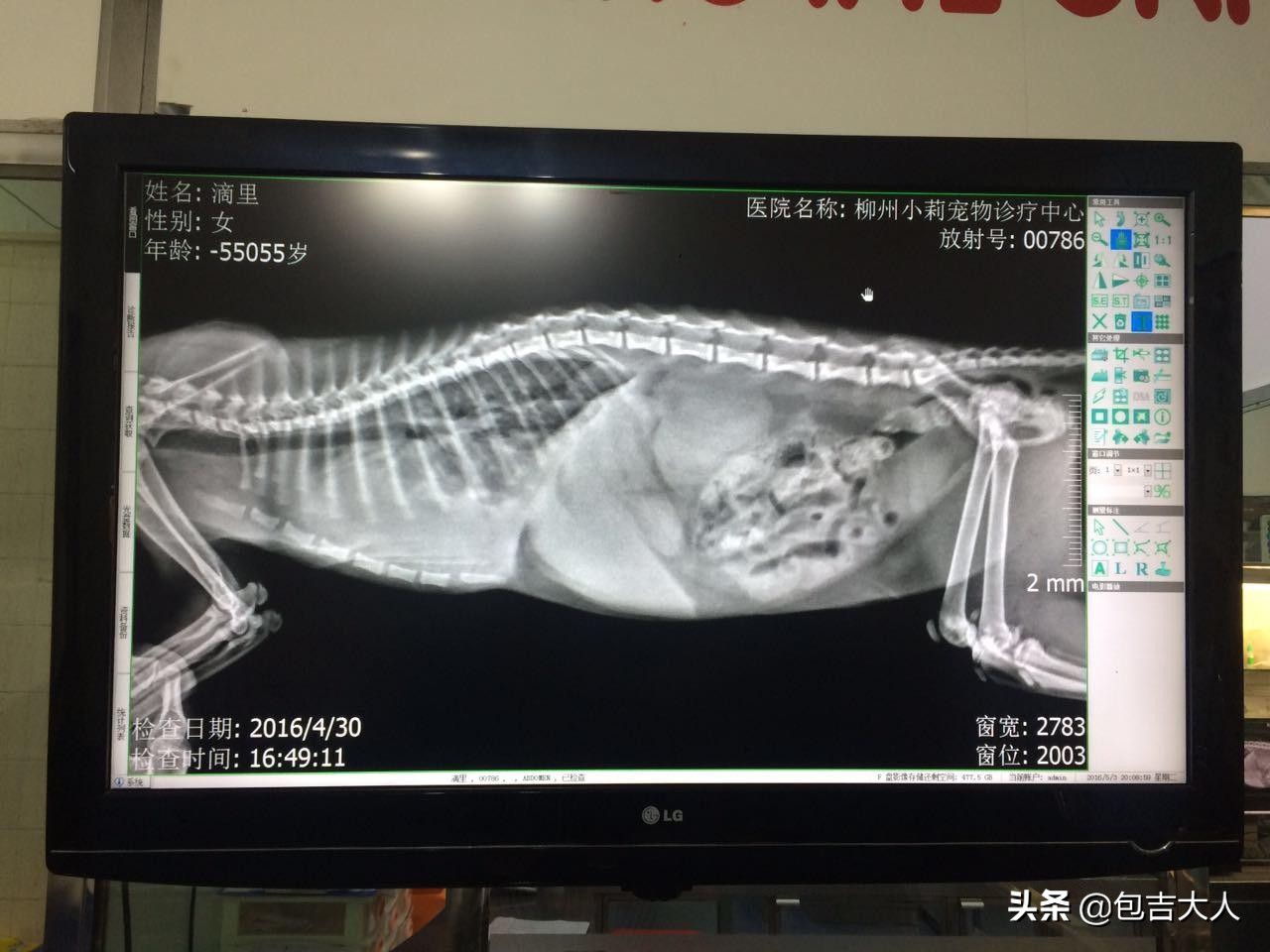 过来人告诉几种方式养猫省钱省心,养猫经验分享系列