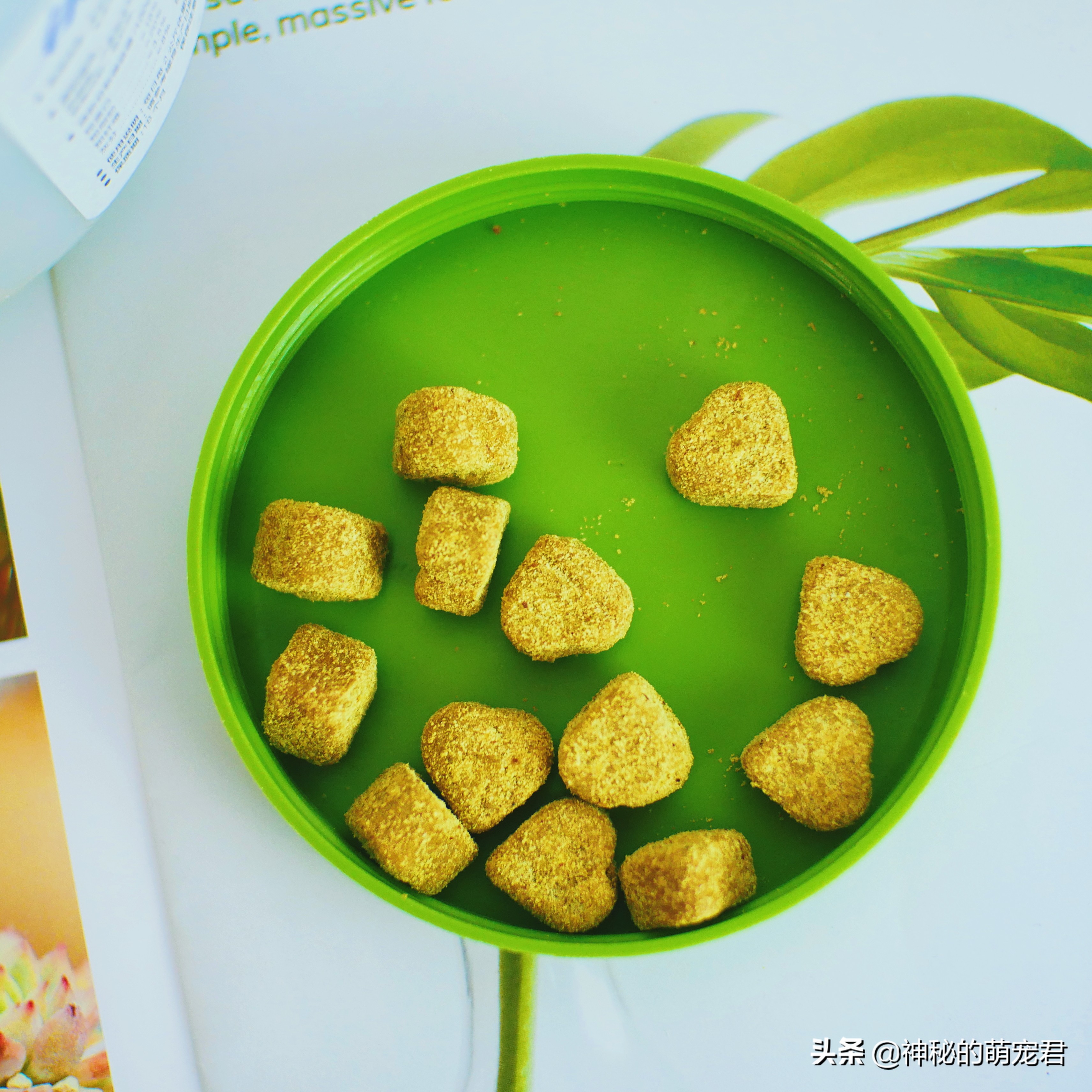 狗狗麦德氏卵磷脂,狗狗麦德氏卵磷脂一天吃多少粒