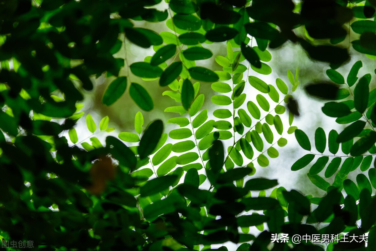 肾阴虚湿热该怎么办,肾阳虚肾精亏虚湿热比较重