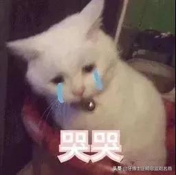 乳牙预成冠的功效与作用,儿童乳牙预成冠一颗多少钱