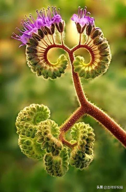 送给群友的美图,最新群相册大全