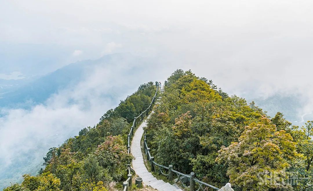 罗湖区的名气大吗,带你了解罗湖