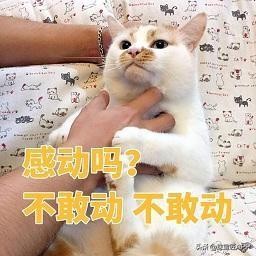 500岁成网红，5万网友点赞！这天文球戒指有多厉害？