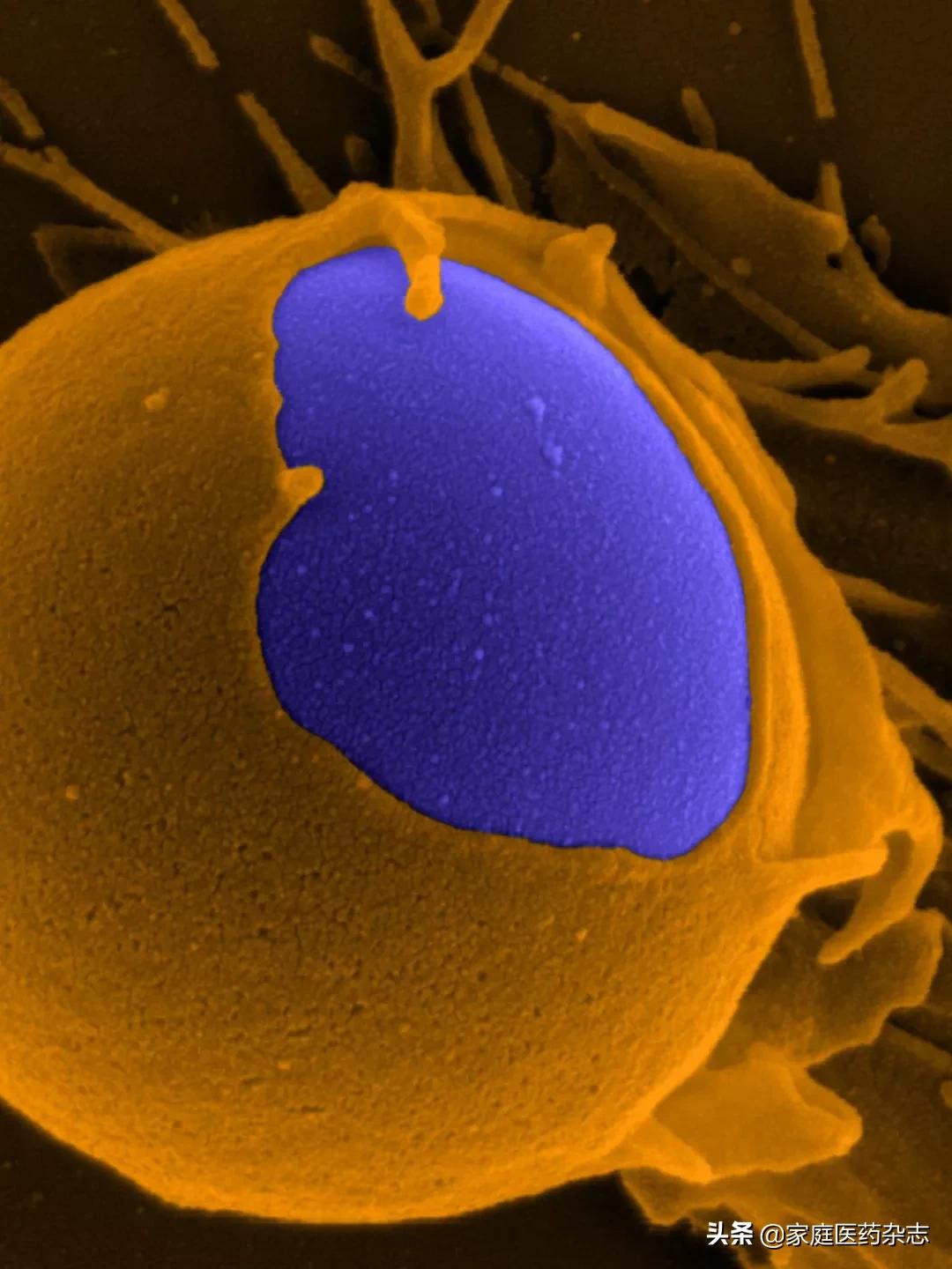 鍋囧鐥呮瘨鎰熸煋浜嗘垜,鍋囧鐥呮瘨鎰熸煋浜嗕綘