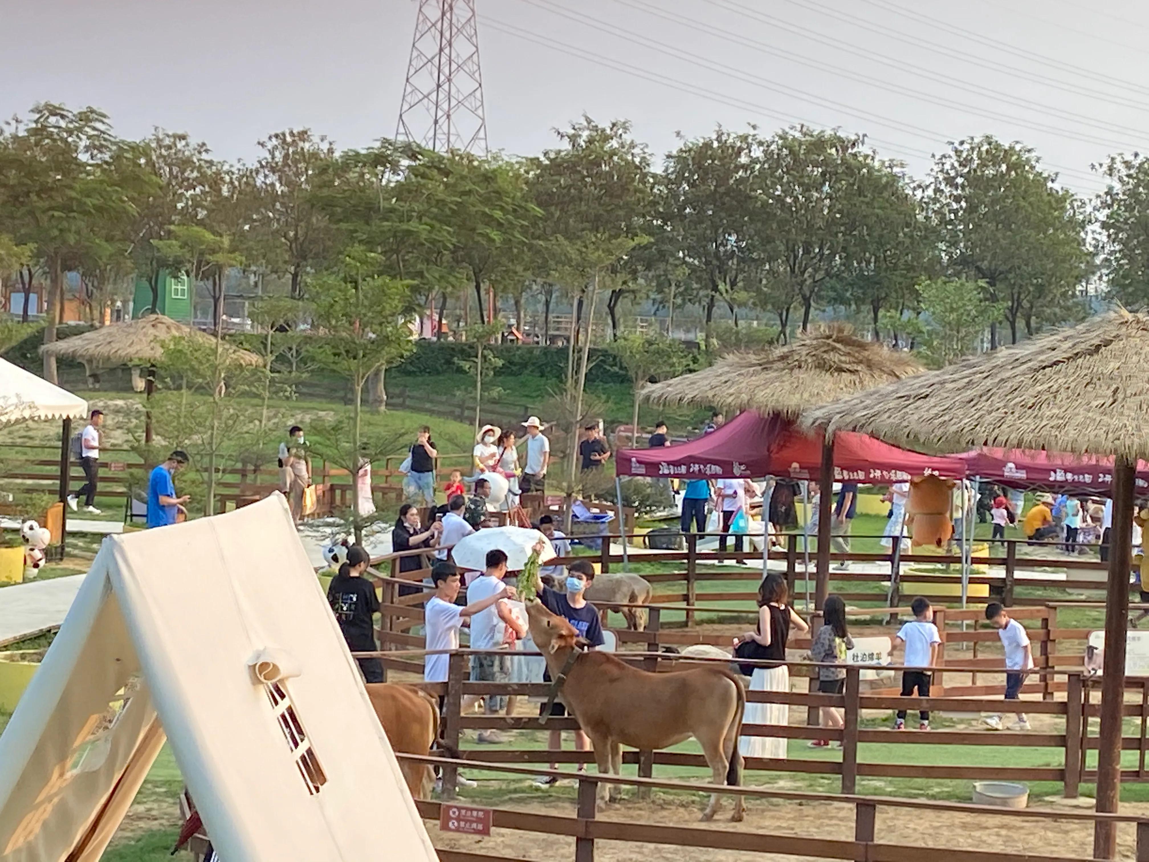 佛山盈香生态园一天玩得完吗,佛山盈香生态园值得去吗