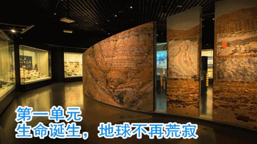 天津哪几个博物馆一定要去,必去天津各大博物馆