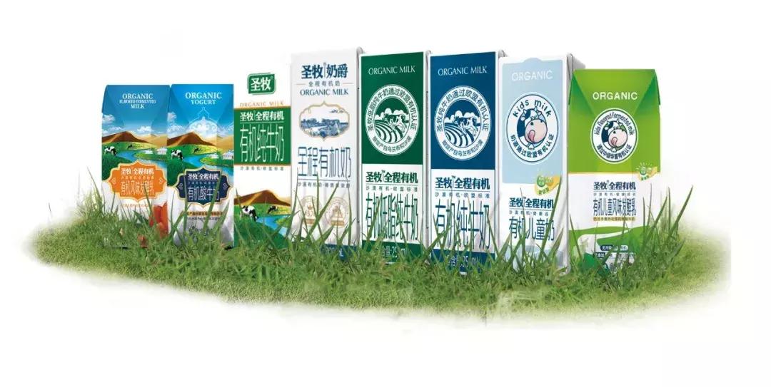 放心喝的牛奶,什么是圣牧有机奶