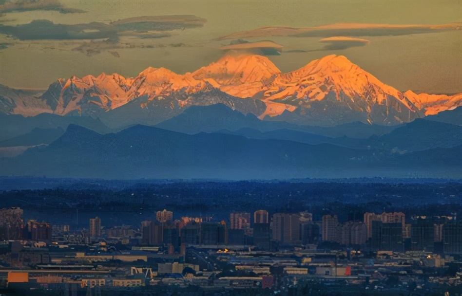 好稀奇！成都春熙路树上长灵芝成都的生态环境，到底有多好？