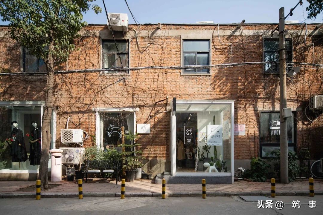 在一家叫“野狗”的独立商店，可以重新认识一座城？