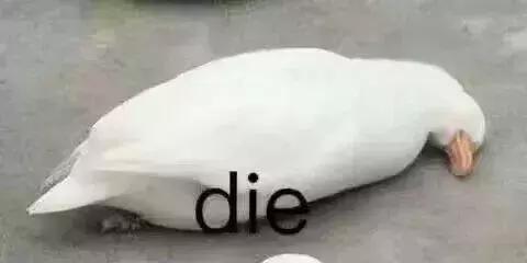 中国动物死亡事件,全国每年有多少动物死亡