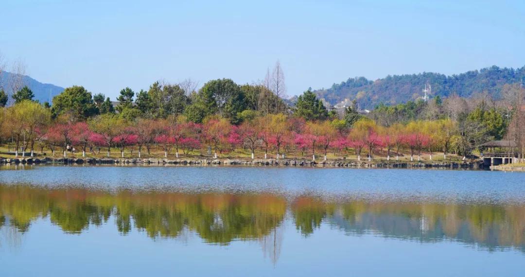 杭州美职学校风景,杭州美丽学校评选