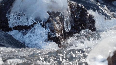 农夫山泉生肖纪念瓶真假辨别,农夫山泉领取生肖瓶入口