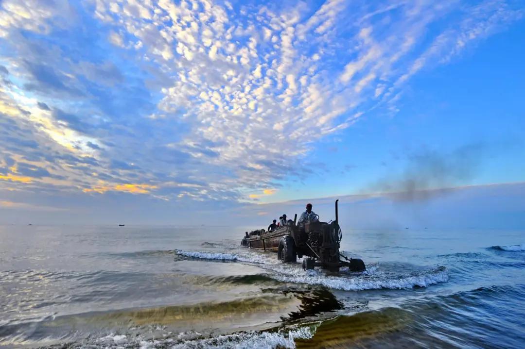 金秋重逢相知威海！等你来，重温海味