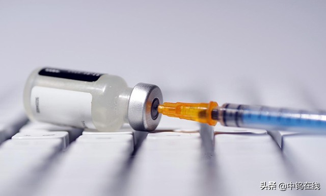 2023钨价格行情走势图,2022年钨矿的行情走势