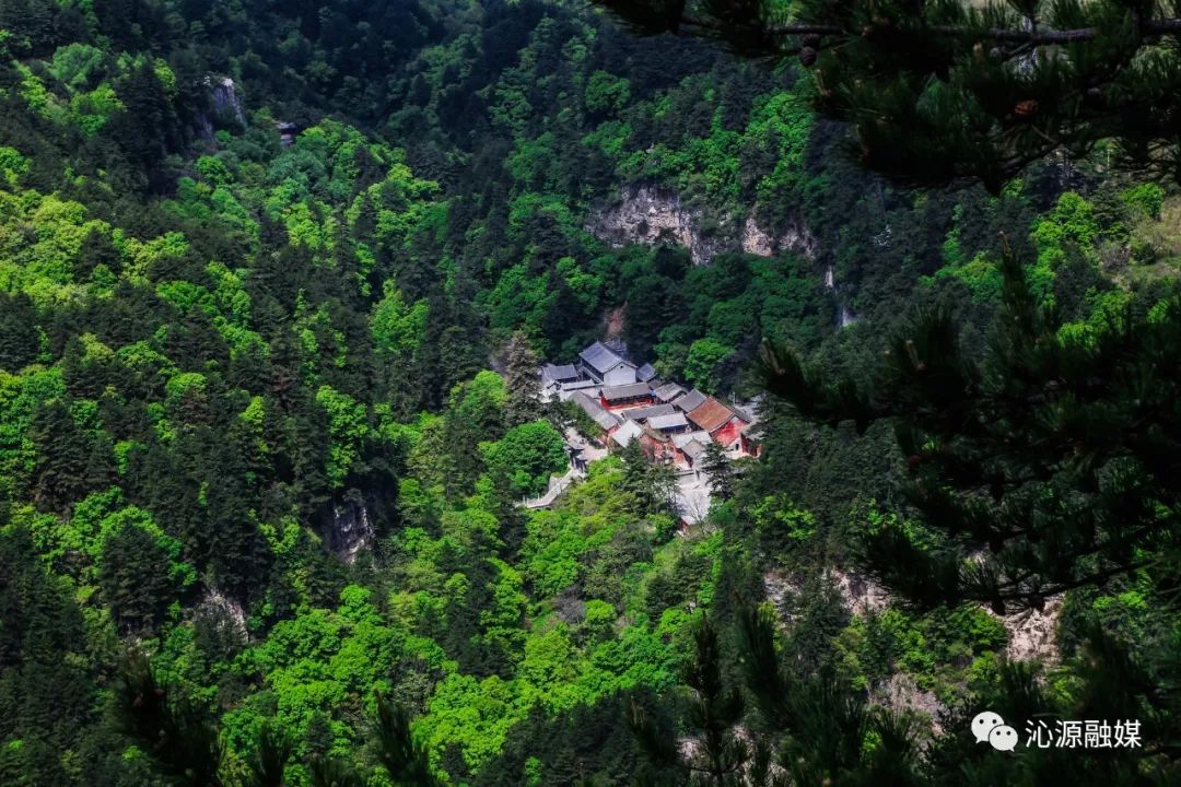 【绿色沁源】2019年绿色沁源十大新闻