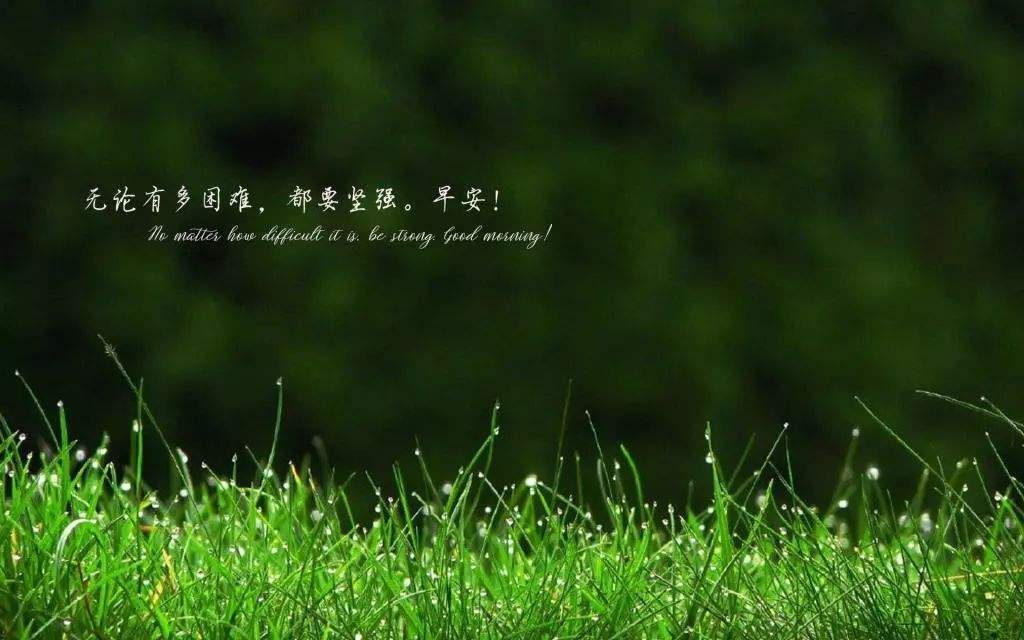 介词with和from的区别,介词withbyin的用法