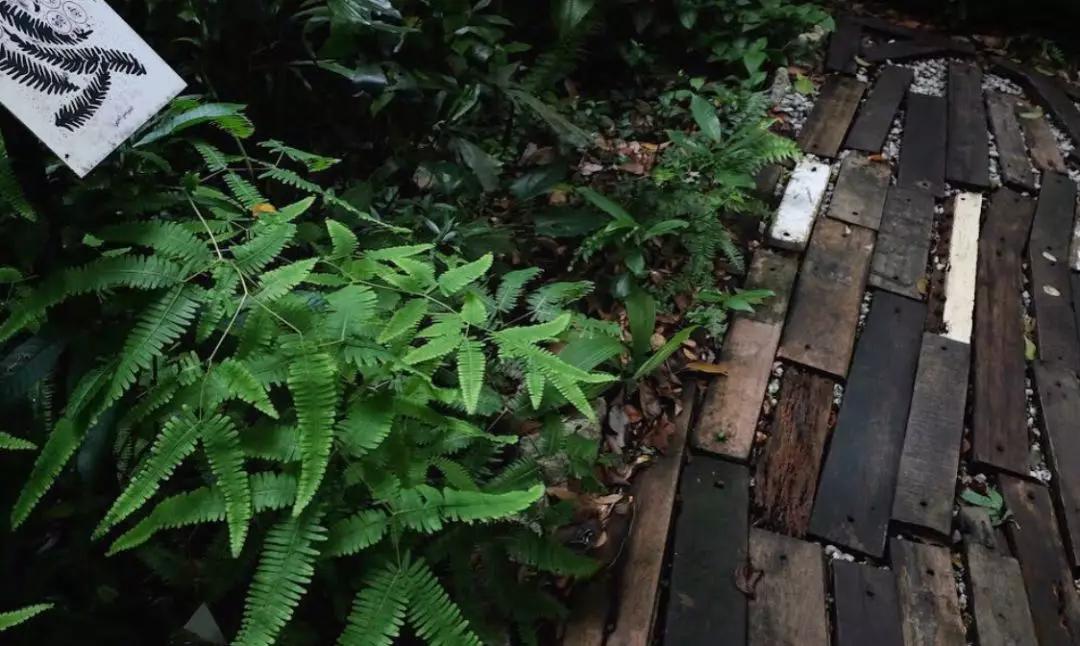 这座城市古老而又年轻,马来西亚的隐世小城