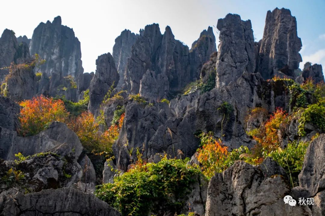 周游西南随记(六)弥蒙的万峰林