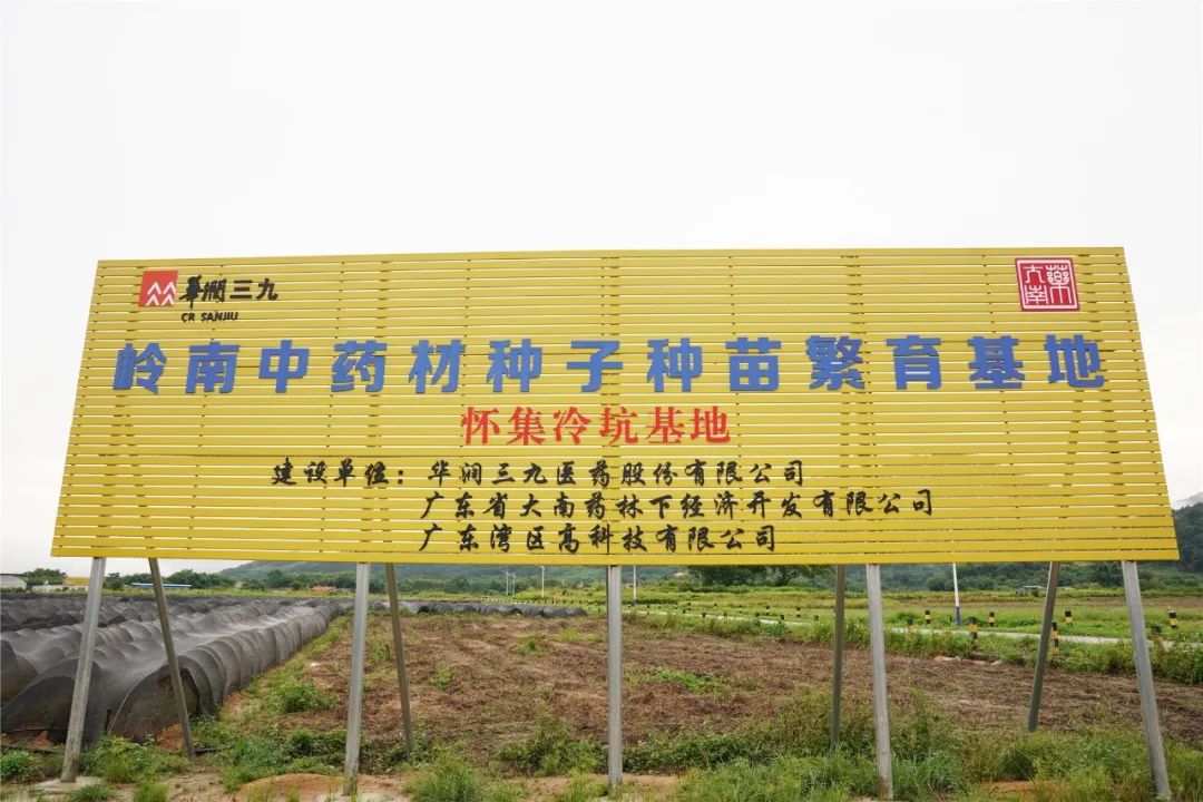 年产1000万株南药种苗、“光伏+农业”双收益……肇庆这个地方致富有“秘籍”！