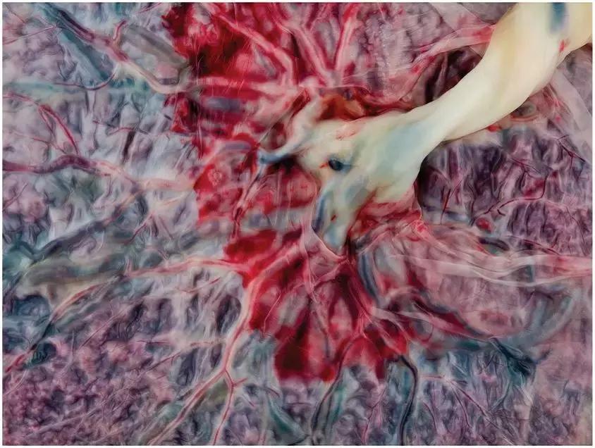 为什么人有大姨妈,人类为什么会有大姨妈