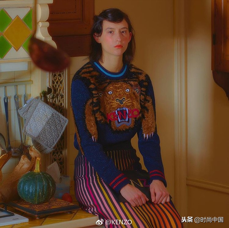 倪妮同款小猫咪,倪妮李宇春奇妙的动物