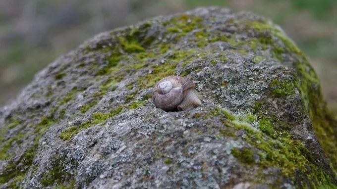 #我的2018#心中梦想的地方，你都去旅行了吗？（人物篇）