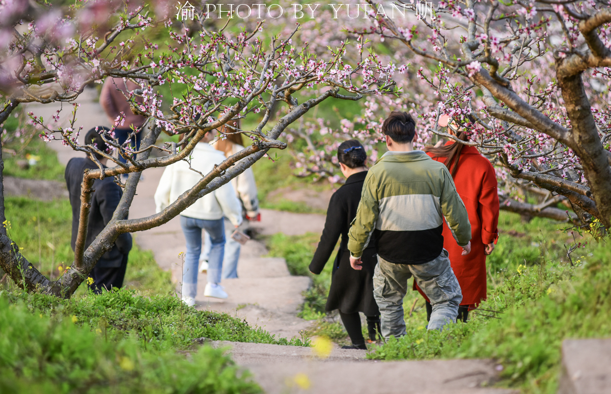 潼南桃花山景区,潼南春游踏青最佳地