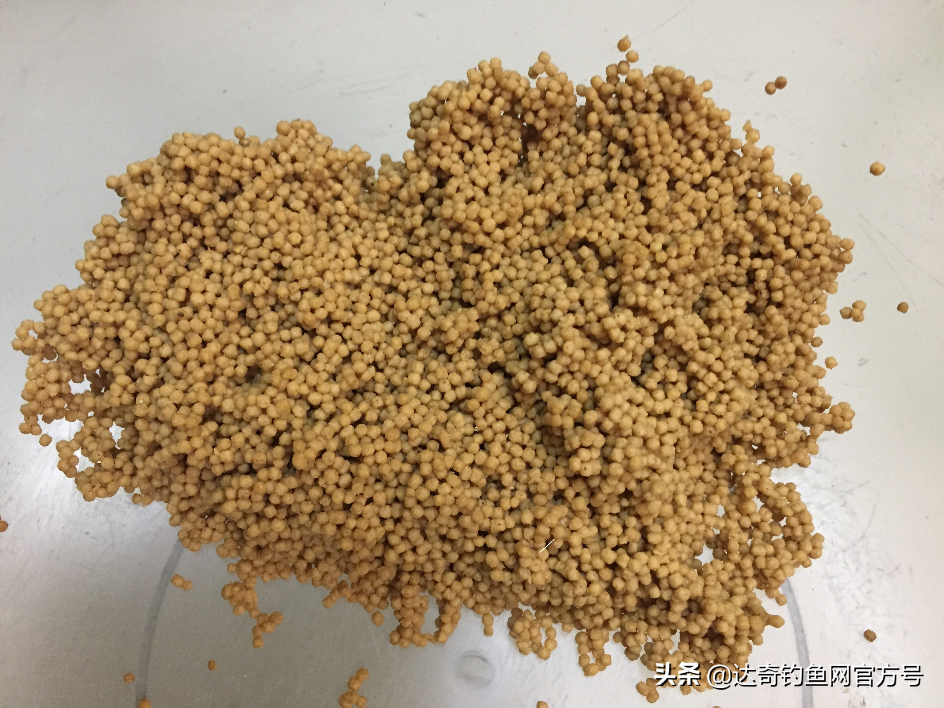 膨化颗粒饵料加什么钓鲫鱼,商品颗粒饵料野钓效果如何