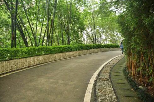 深圳主题公园推荐,深圳爱国主义主题公园