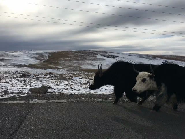 青海湖最美公路在哪,青海湖附近小众秘境