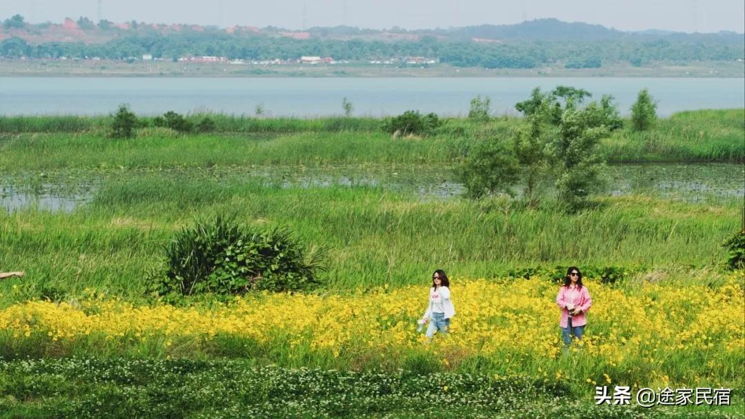 长沙最值得去的小众景点,长沙一日游小众景点推荐