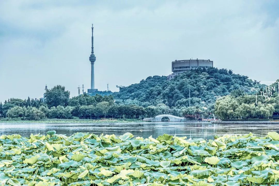武汉冷门自驾免费景点,武汉旅游景点免费预约