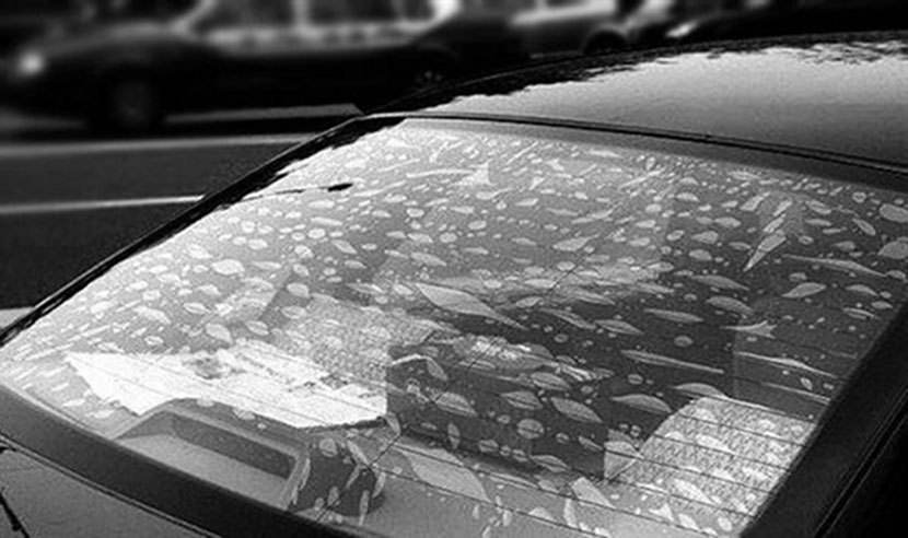 汽车玻璃贴膜起泡了还能修复吗,汽车后挡贴膜起泡怎么解决