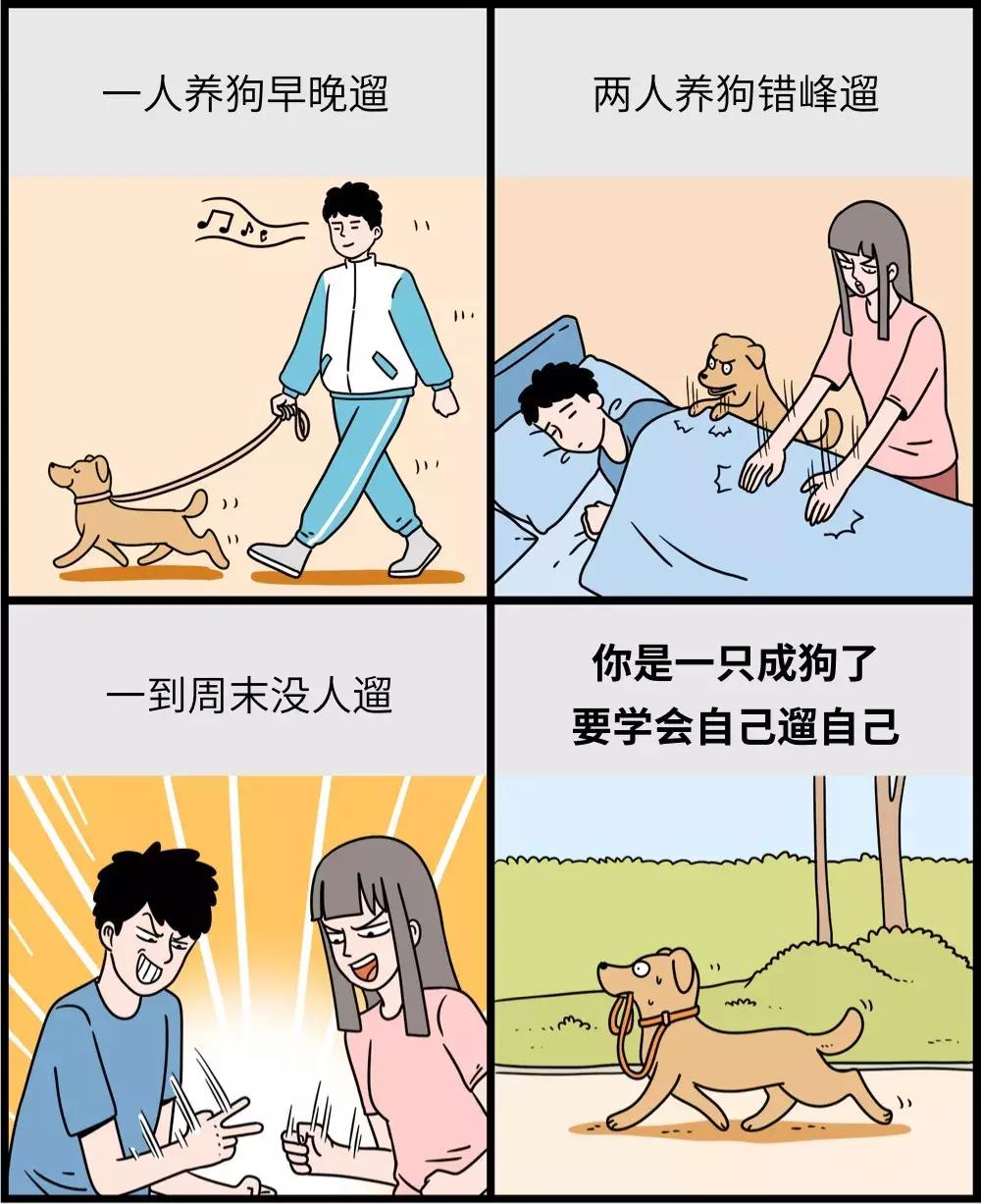 养狗和养猫的区别太真实了,养狗和养猫的五大区别