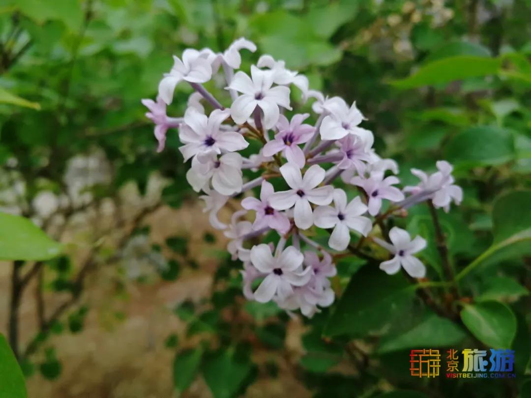 观日落的最佳世界名胜景点,中国旅游景点看日落的好地方