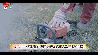 成都的干净程度,成都的街道名为什么好听