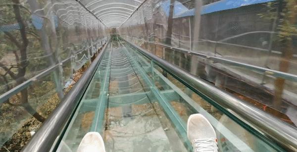 昆明玻璃栈道有哪些,昆明景点之玻璃栈道