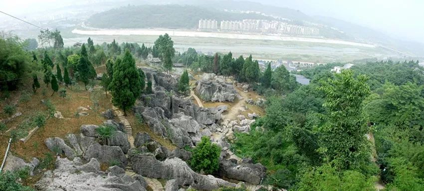 又是人间四月天踏青赏花正当时,正是人间芳菲时