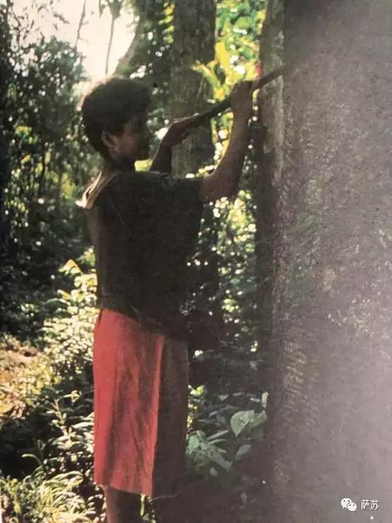 巴西热带雨林神秘部落,巴西发现亚马逊森林原始人