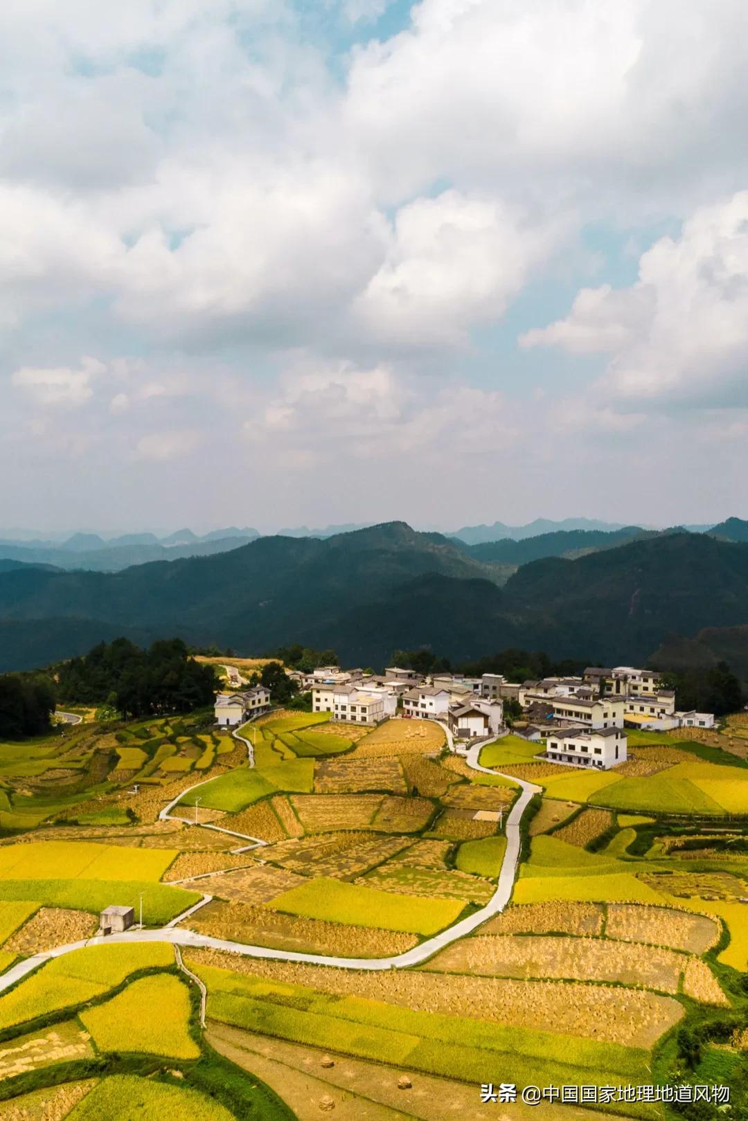 想不到！一粒小麦竟这样改变了中国