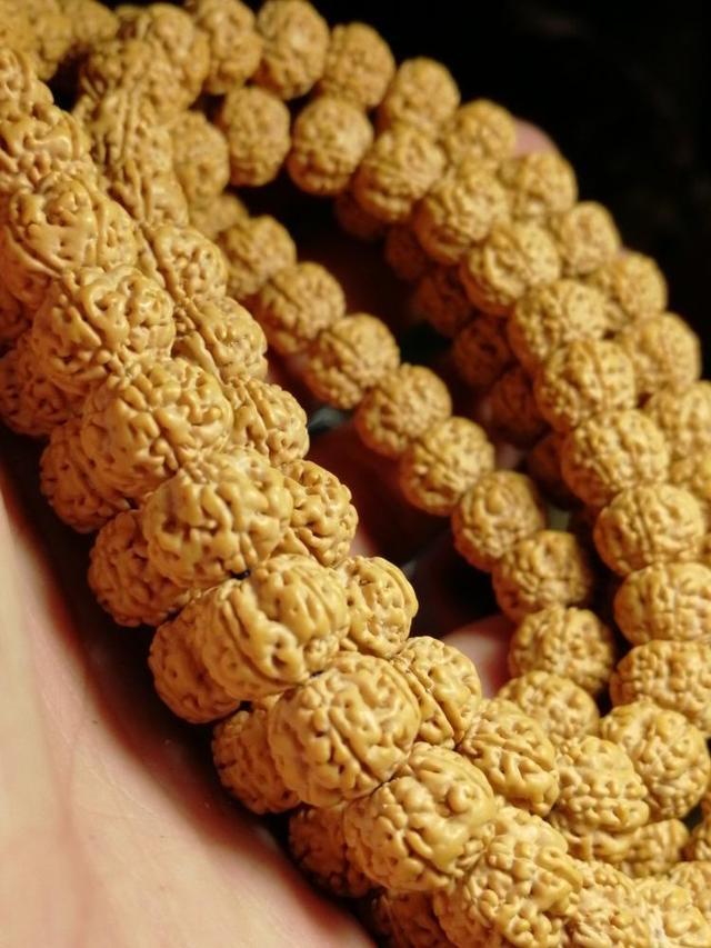 现在不玩金刚菩提了都玩什么,金刚菩提的基础知识