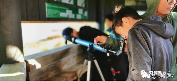 奥克兰小学生游学,奥克兰两日游旅游攻略