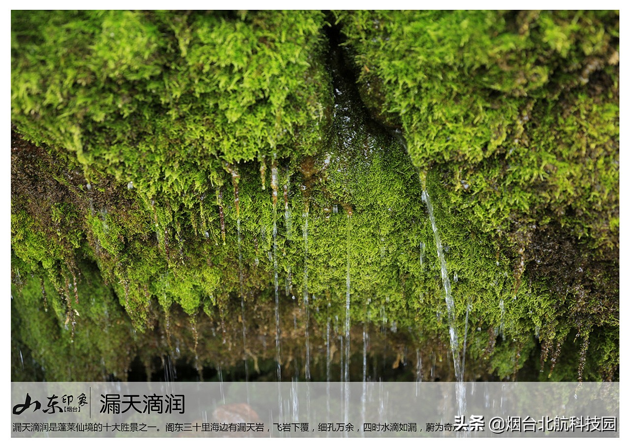 山东烟台景点图片大全,烟台游玩十大必去景点