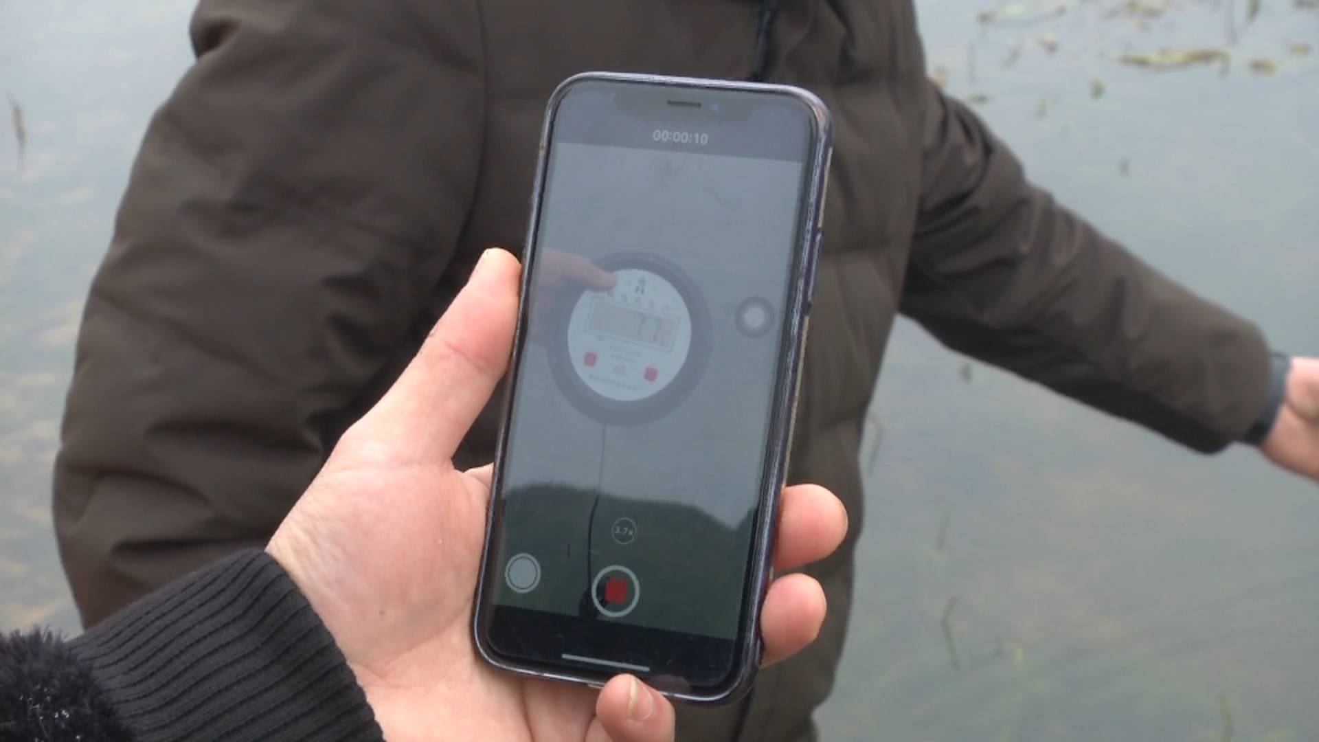 灏忛緳铏剧豢鑹蹭骇涓氶摼,灏忛緳铏惧吇娈栦竴鏉￠緳